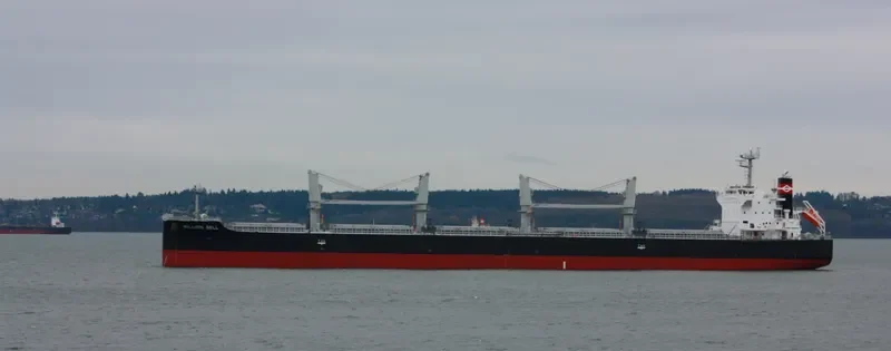 MILLION BELL Bulk Carrier IMO 9640607 photo 2