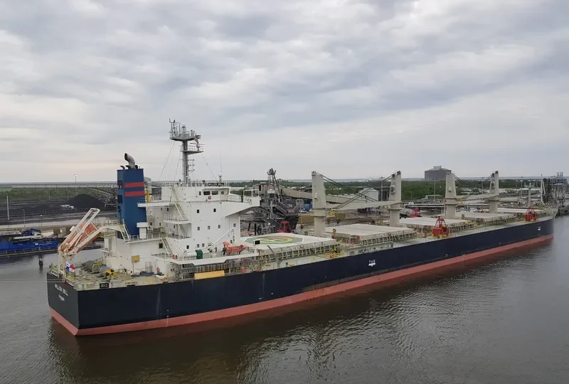 MILLION BELL Bulk Carrier IMO 9640607 photo 3