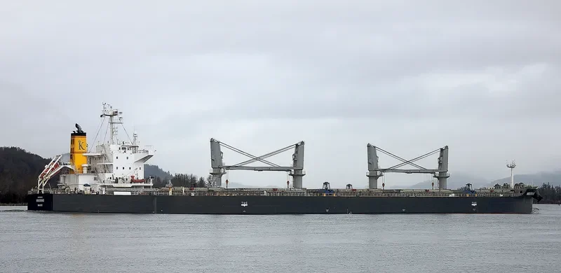 NEUTRINO Bulk Carrier IMO 9640619 photo 2