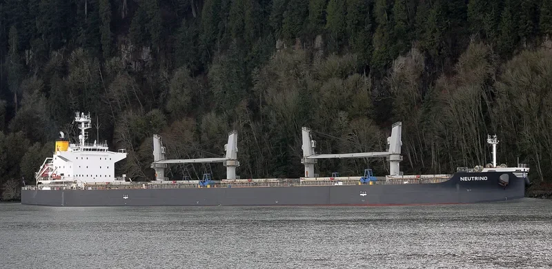 NEUTRINO Bulk Carrier IMO 9640619 photo 3