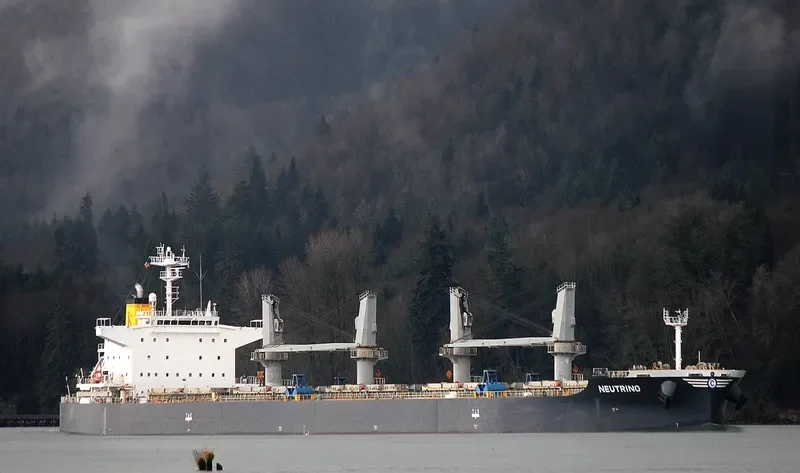 NEUTRINO Bulk Carrier IMO 9640619 photo 4