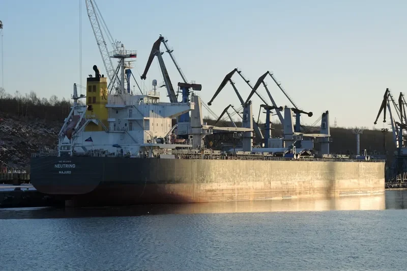 NEUTRINO Bulk Carrier IMO 9640619 photo 6