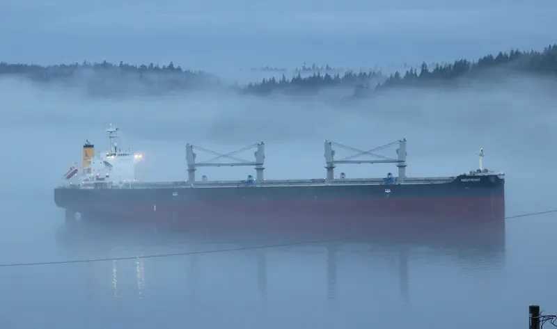 NEUTRINO Bulk Carrier IMO 9640619 photo 7