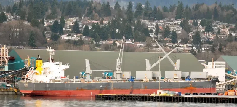 NEUTRINO Bulk Carrier IMO 9640619 photo 9