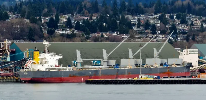 NEUTRINO Bulk Carrier IMO 9640619 photo 10