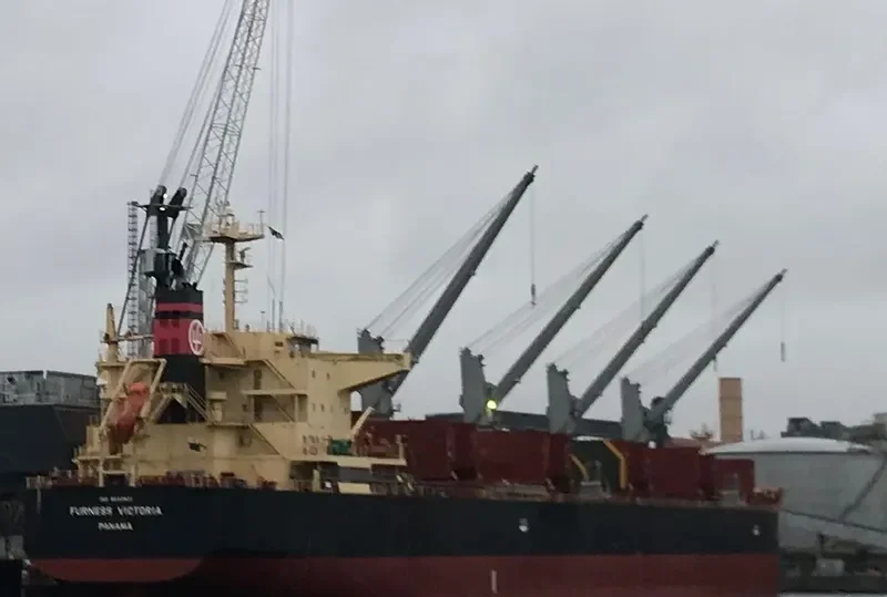 FURNESS VICTORIA Bulk Carrier IMO 9640621