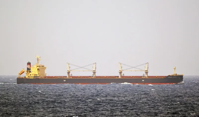 FURNESS VICTORIA Bulk Carrier IMO 9640621 photo 10