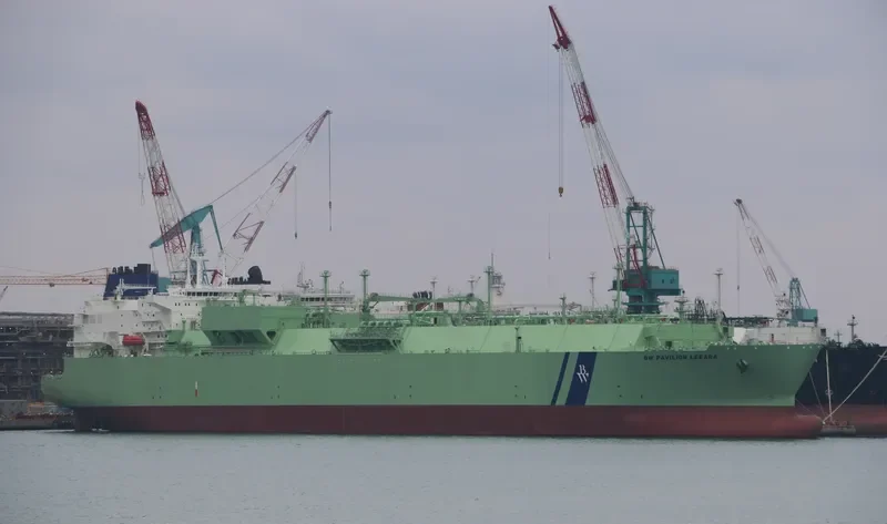 BW PAVILION LEEARA General Cargo IMO 9640645 photo 4