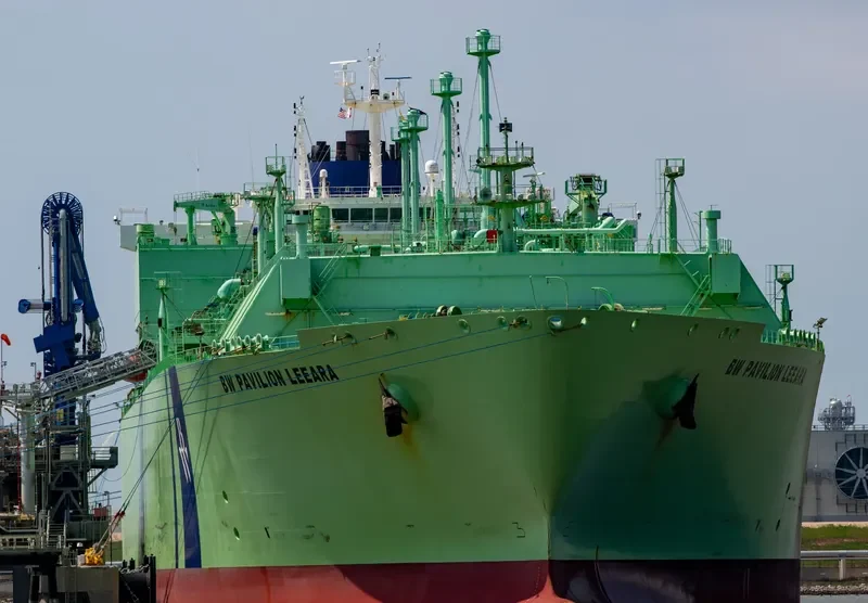 BW PAVILION LEEARA General Cargo IMO 9640645 photo 5