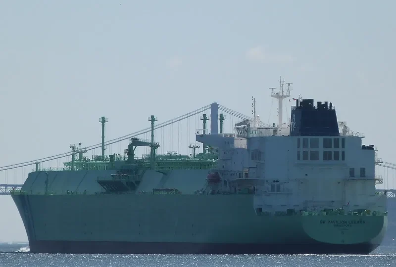 BW PAVILION LEEARA General Cargo IMO 9640645 photo 6