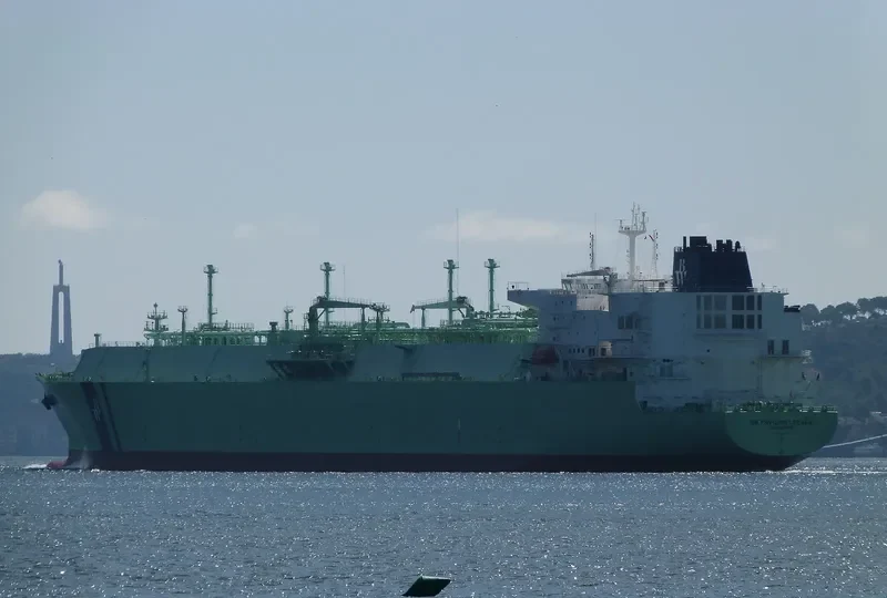 BW PAVILION LEEARA General Cargo IMO 9640645 photo 7