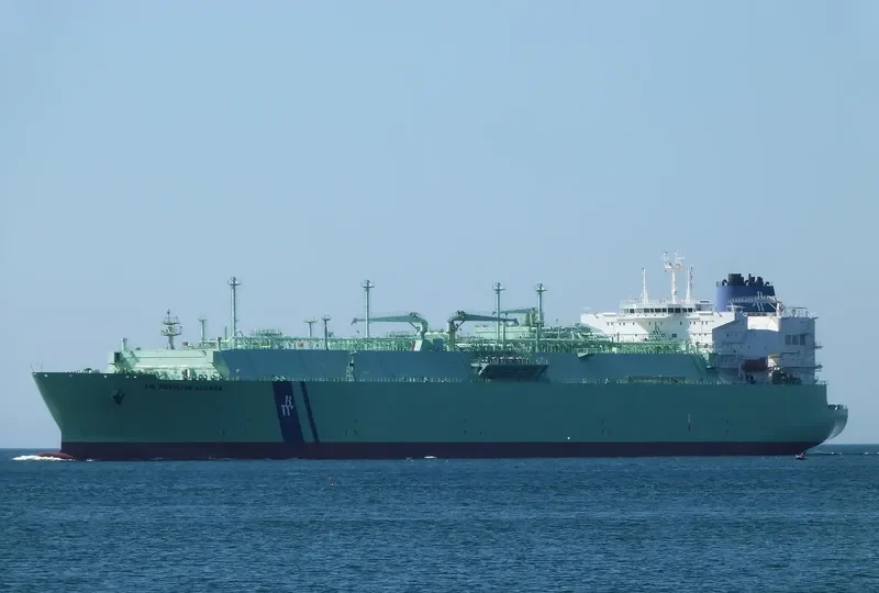 BW PAVILION LEEARA General Cargo IMO 9640645 photo 8