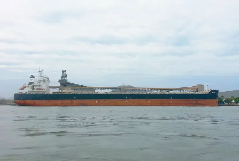 TUO FU 6 Bulk Carrier IMO 9640671