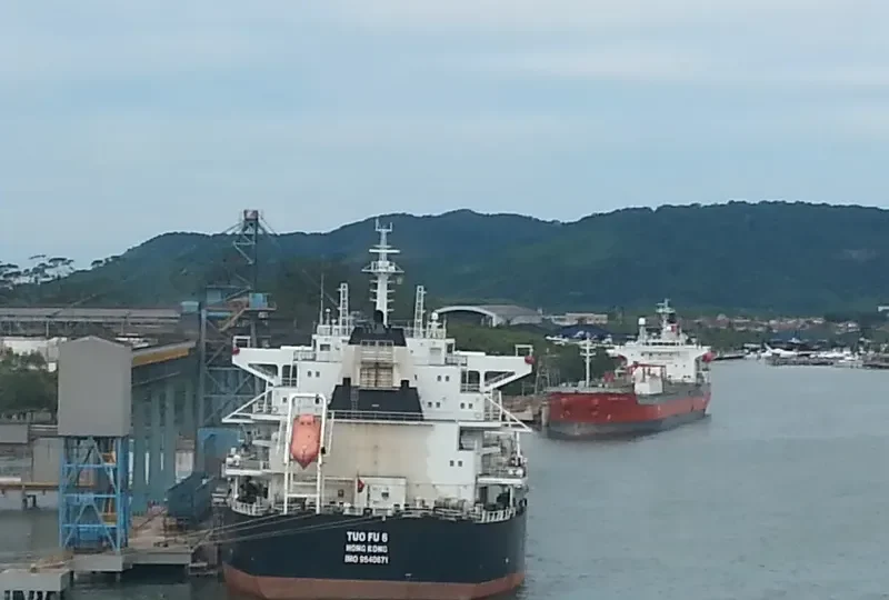 TUO FU 6 Bulk Carrier IMO 9640671 photo 2