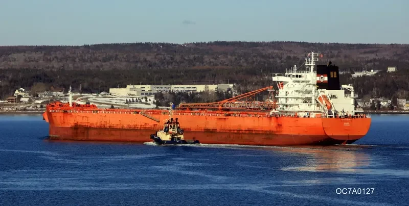 ALGOMA VISION Bulk Carrier IMO 9640944 photo 3