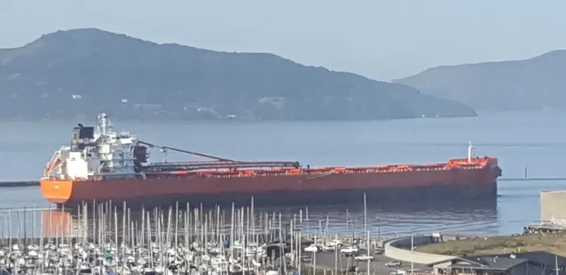 ALGOMA VISION Bulk Carrier IMO 9640944 photo 8