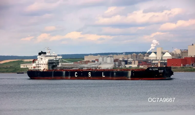CSL TACOMA Bulk Carrier IMO 9640956 photo 5