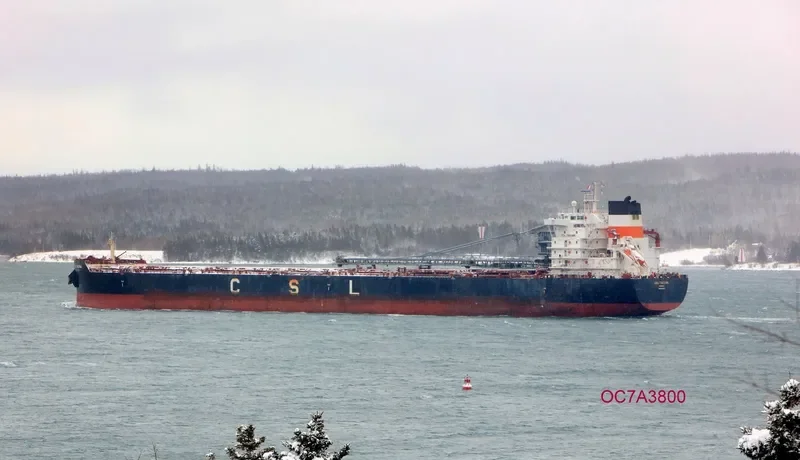 CSL TACOMA Bulk Carrier IMO 9640956 photo 6