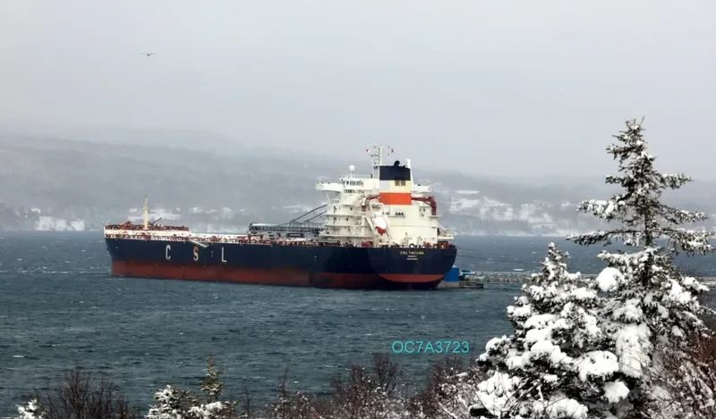 CSL TACOMA Bulk Carrier IMO 9640956 photo 8