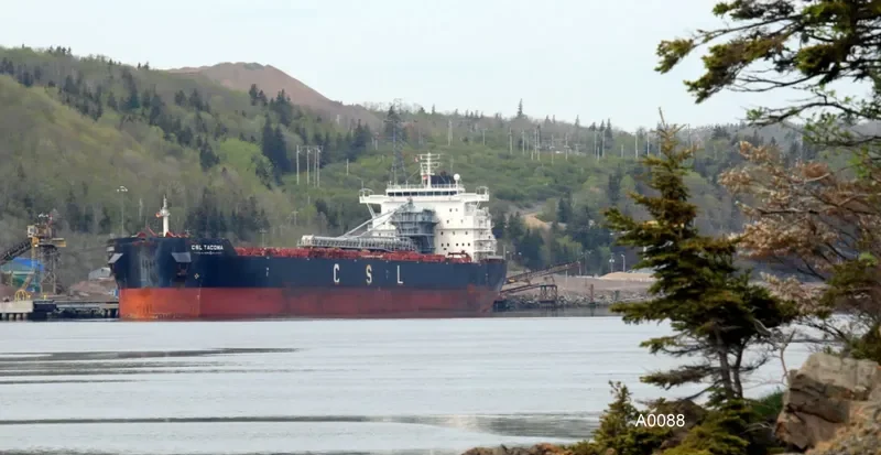 CSL TACOMA Bulk Carrier IMO 9640956 photo 10
