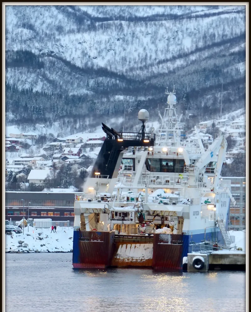 GADUS POSEIDON General Cargo IMO 9640968 photo 3