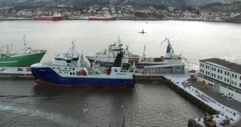 GADUS NJORD General Cargo IMO 9640970 photo 5