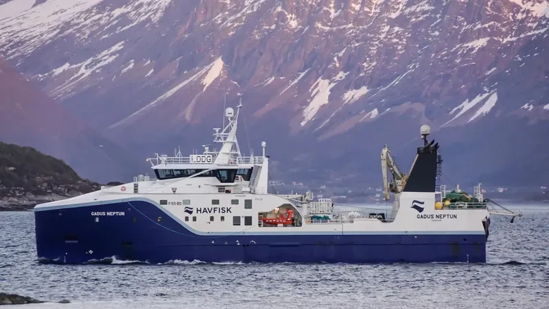 GADUS NEPTUN General Cargo IMO 9640982