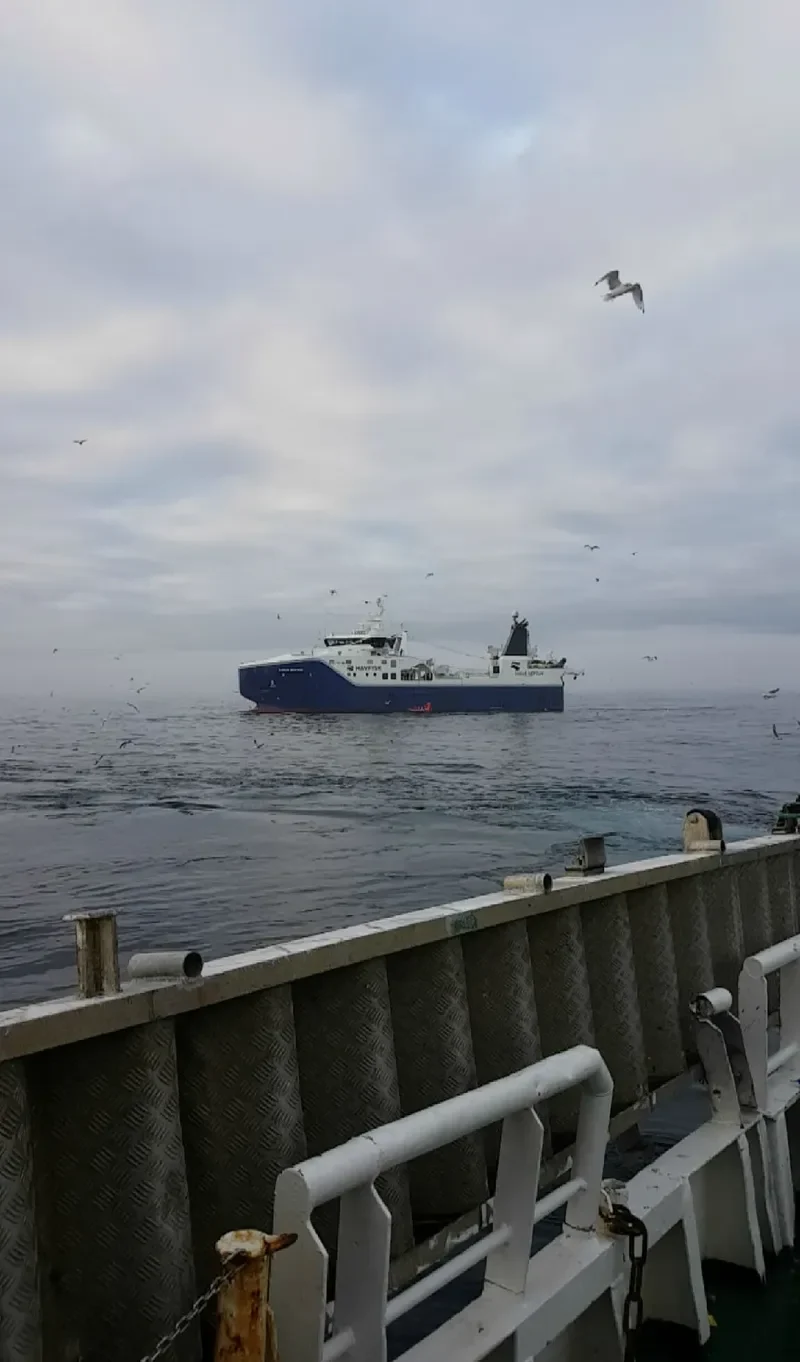 GADUS NEPTUN General Cargo IMO 9640982 photo 4