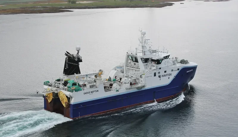 GADUS NEPTUN General Cargo IMO 9640982 photo 5