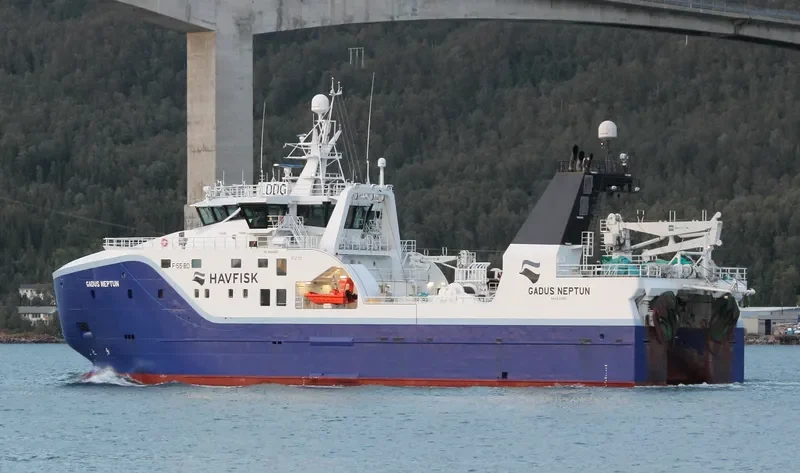 GADUS NEPTUN General Cargo IMO 9640982 photo 8