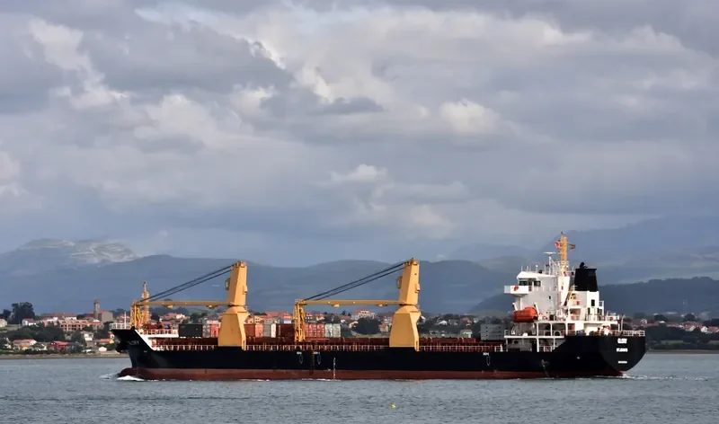 BZ LINHAI Bulk Carrier IMO 9641015 photo 6