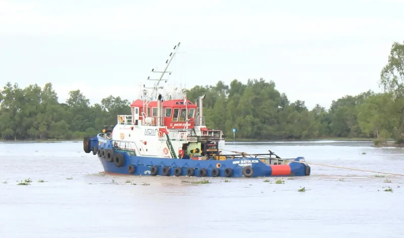 MDM BATULICIN General Cargo IMO 9641065