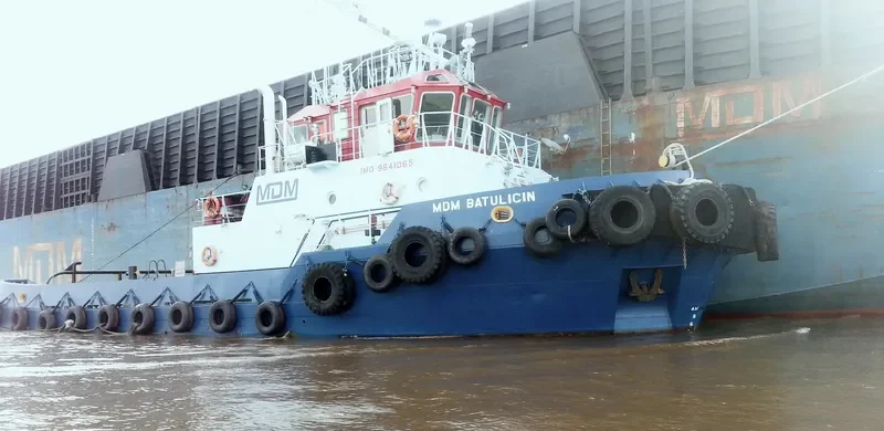MDM BATULICIN General Cargo IMO 9641065 photo 4