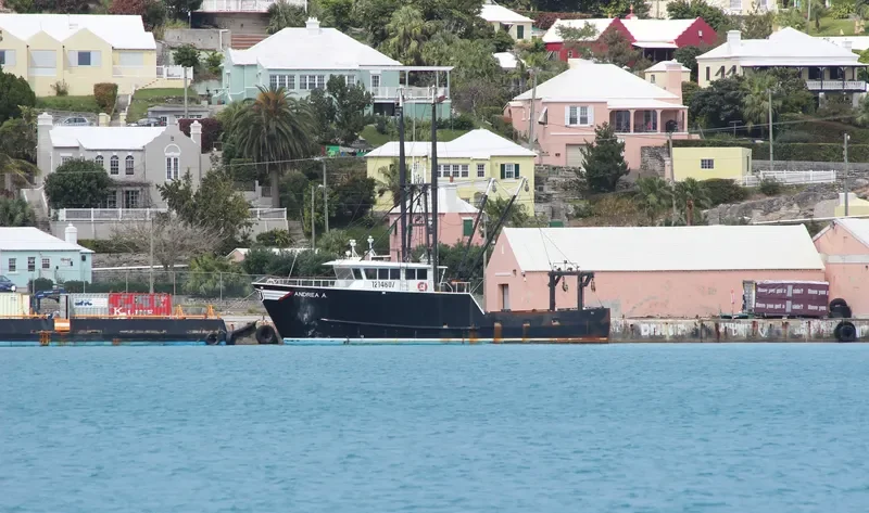 ANDREA A General Cargo IMO 9641120 photo 4