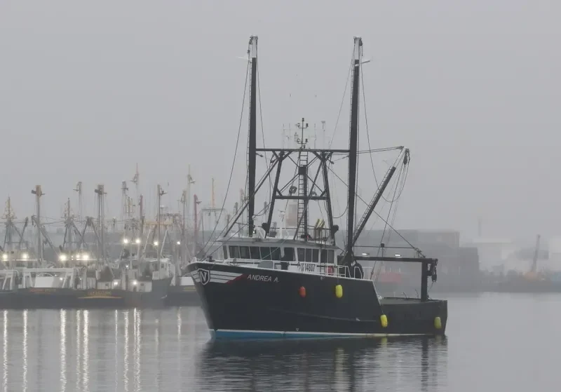 ANDREA A General Cargo IMO 9641120 photo 7