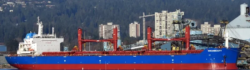 OCEANBEAUTY Bulk Carrier IMO 9641338