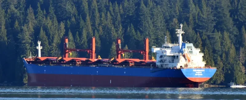 OCEANBEAUTY Bulk Carrier IMO 9641338 photo 2