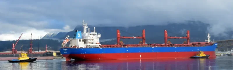 OCEANBEAUTY Bulk Carrier IMO 9641338 photo 3