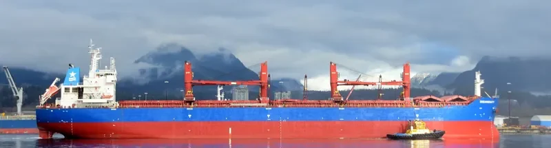 OCEANBEAUTY Bulk Carrier IMO 9641338 photo 4