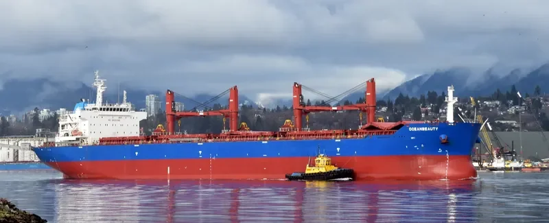 OCEANBEAUTY Bulk Carrier IMO 9641338 photo 5