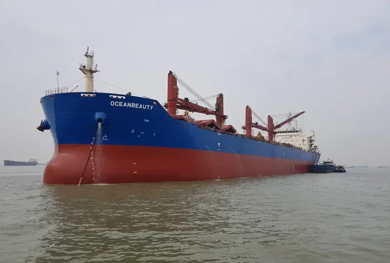 OCEANBEAUTY Bulk Carrier IMO 9641338 photo 6