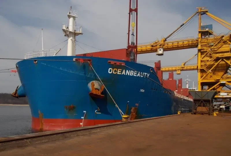 OCEANBEAUTY Bulk Carrier IMO 9641338 photo 8