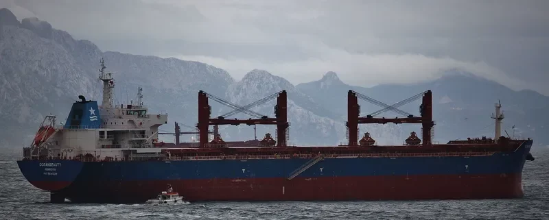 OCEANBEAUTY Bulk Carrier IMO 9641338 photo 9