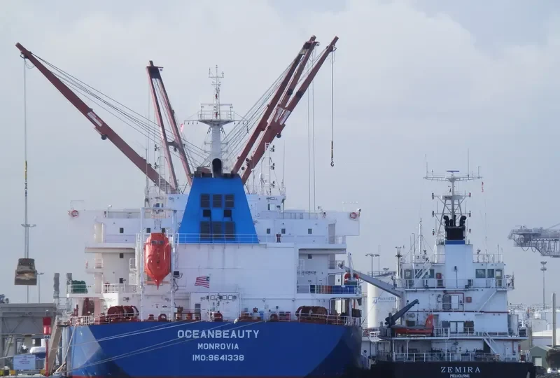 OCEANBEAUTY Bulk Carrier IMO 9641338 photo 10
