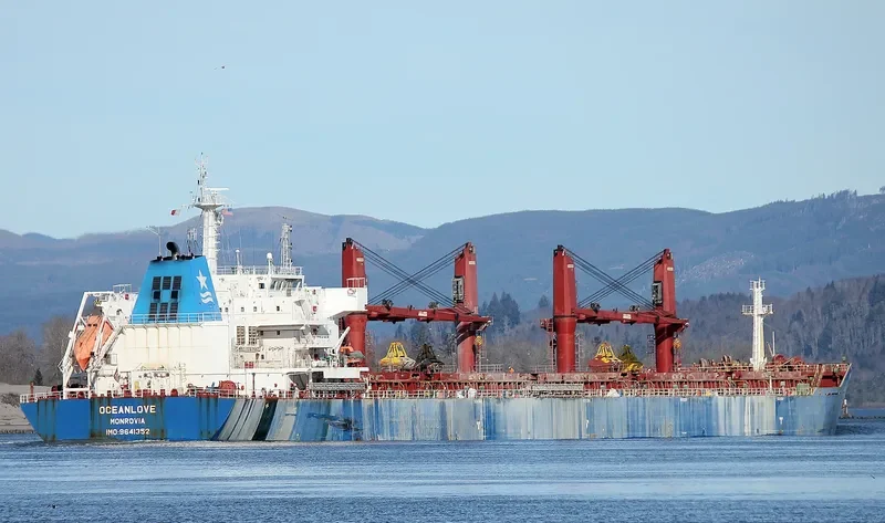 OCEANLOVE Bulk Carrier IMO 9641352 photo 2