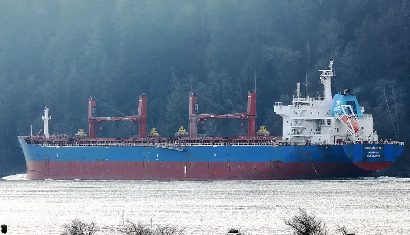OCEANLOVE Bulk Carrier IMO 9641352 photo 4