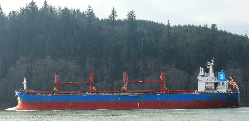 OCEANLOVE Bulk Carrier IMO 9641352 photo 5