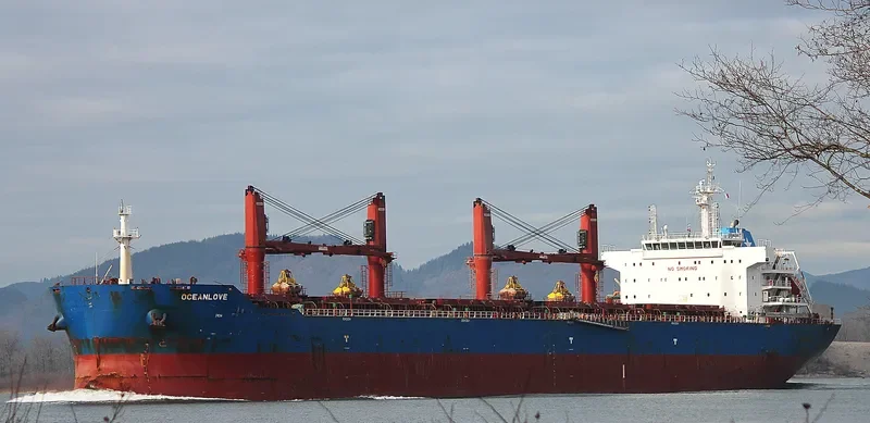 OCEANLOVE Bulk Carrier IMO 9641352 photo 6