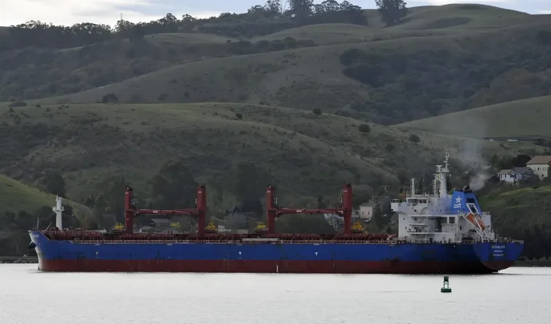 OCEANLOVE Bulk Carrier IMO 9641352 photo 7