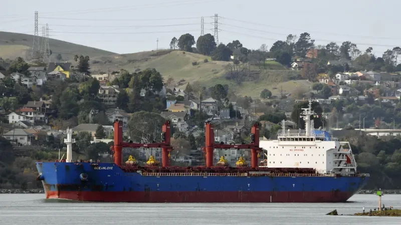 OCEANLOVE Bulk Carrier IMO 9641352 photo 8
